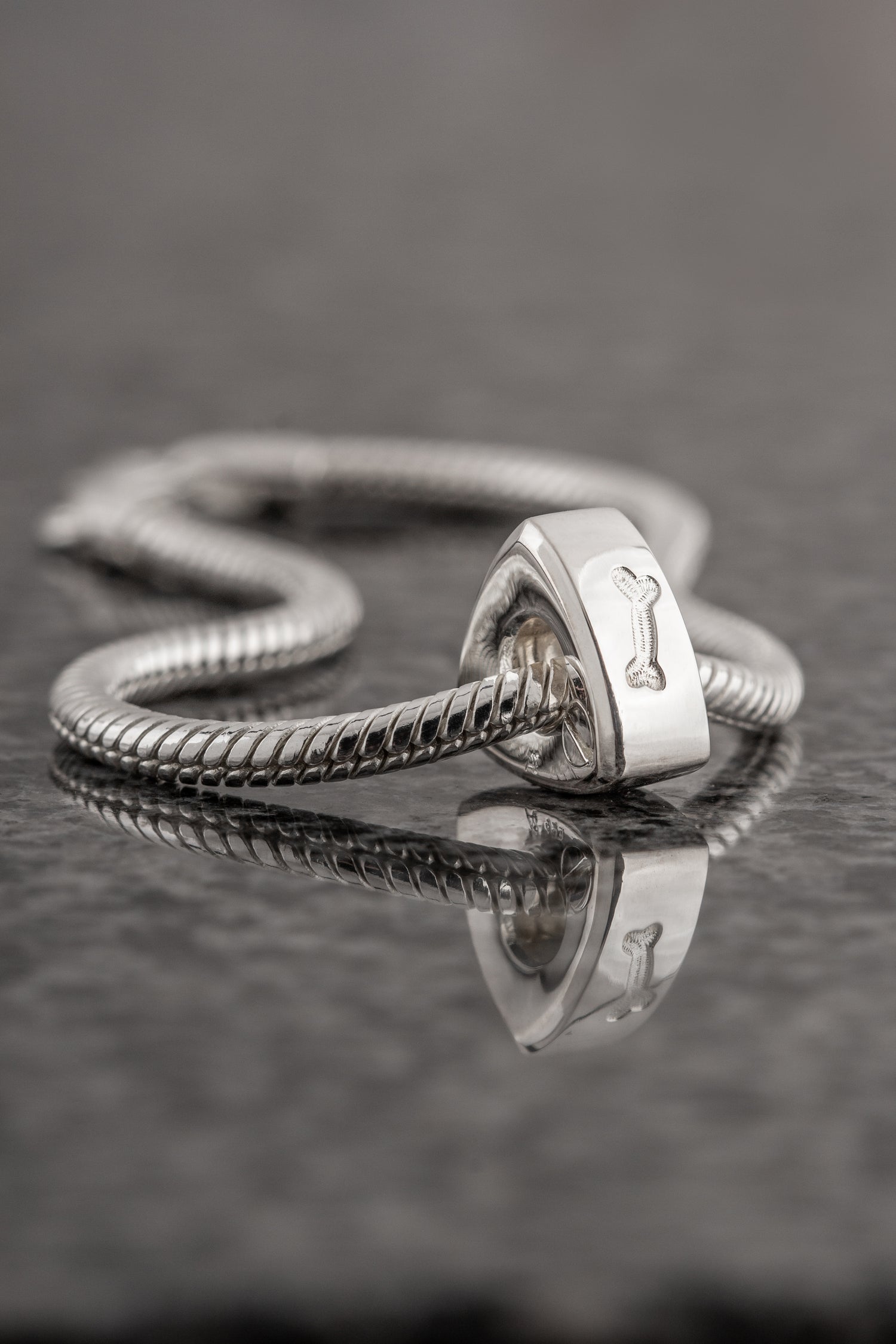 gedenk sieraden huisdier
