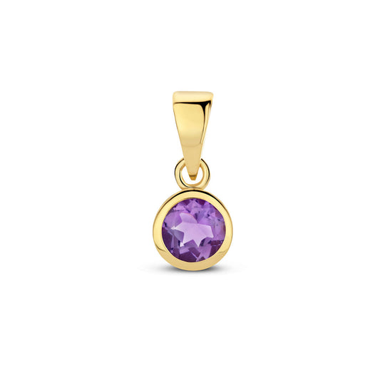 Exclusieve 14 KT geelgouden hanger met geboortesteen februari uit onze collectie geboortesieraden.