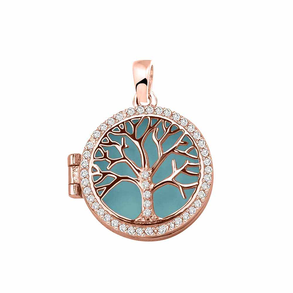 Ashanger levensboom, waar as en haar in verwerkt wordt. Aqua