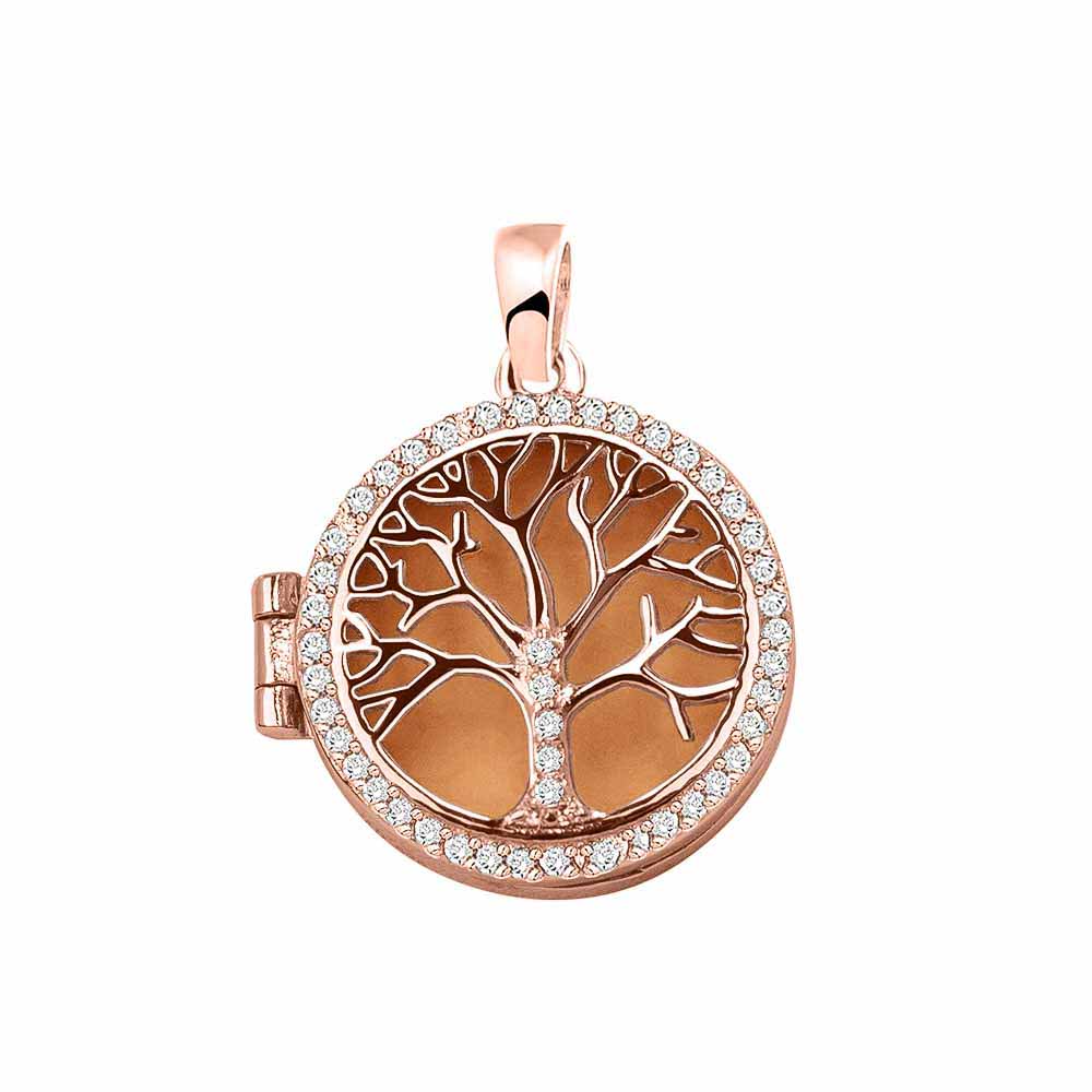 Ashanger levensboom, waar as en haar in verwerkt wordt. Orange