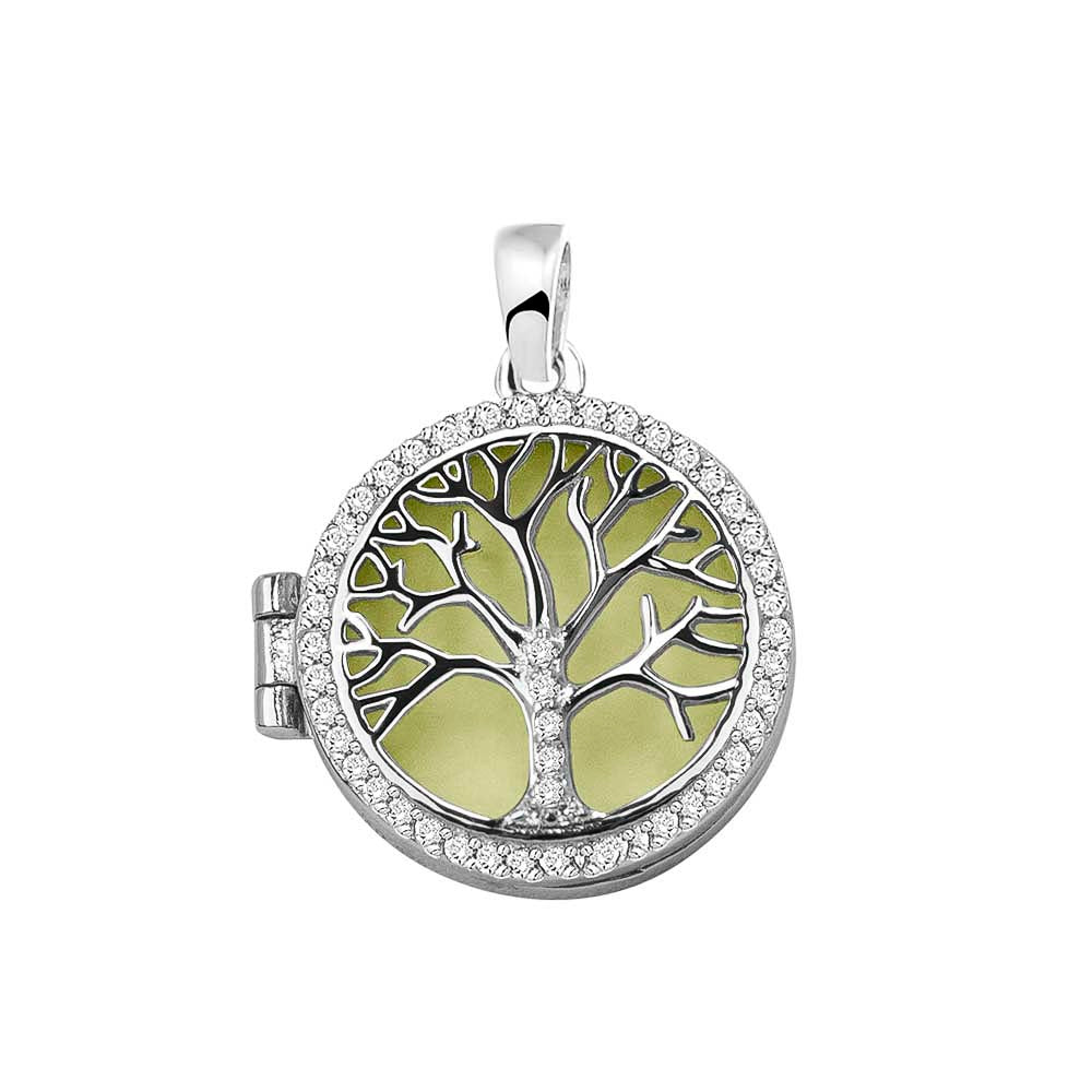 Ashanger levensboom, waar as en haar in verwerkt wordt. Olive