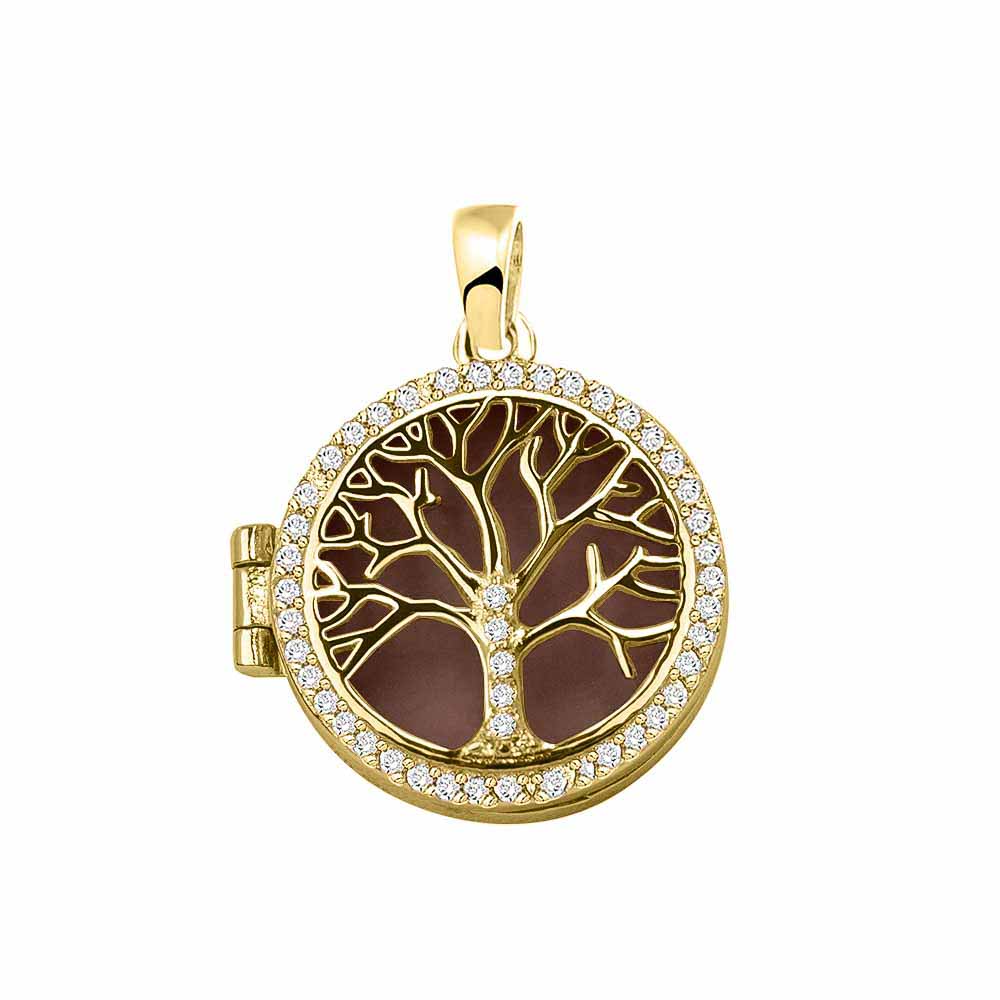 Ashanger levensboom, waar as en haar in verwerkt wordt. Brown