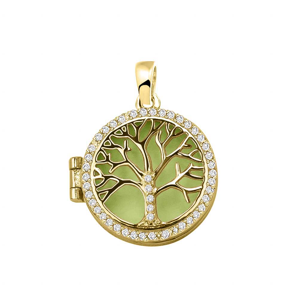 Ashanger levensboom, waar as en haar in verwerkt wordt. Green