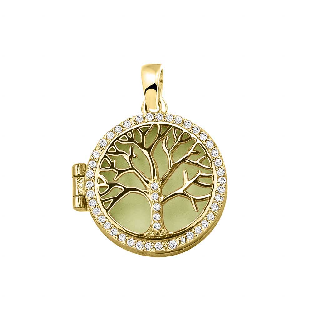 Ashanger levensboom, waar as en haar in verwerkt wordt. Olive