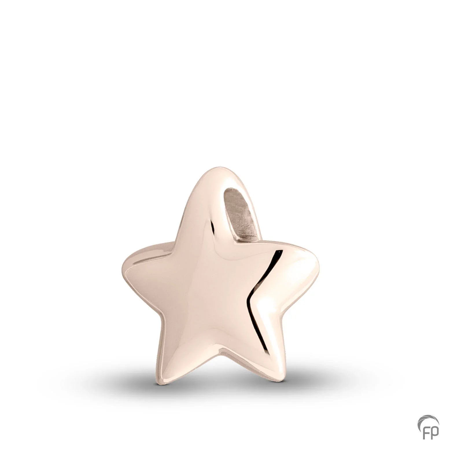 Hanger in stervorm,de ashangers uit deze collectie gedenksieraden zijn eenvoudig zelf te vullen en te bestellen in zilver, geelgoud en witgoud