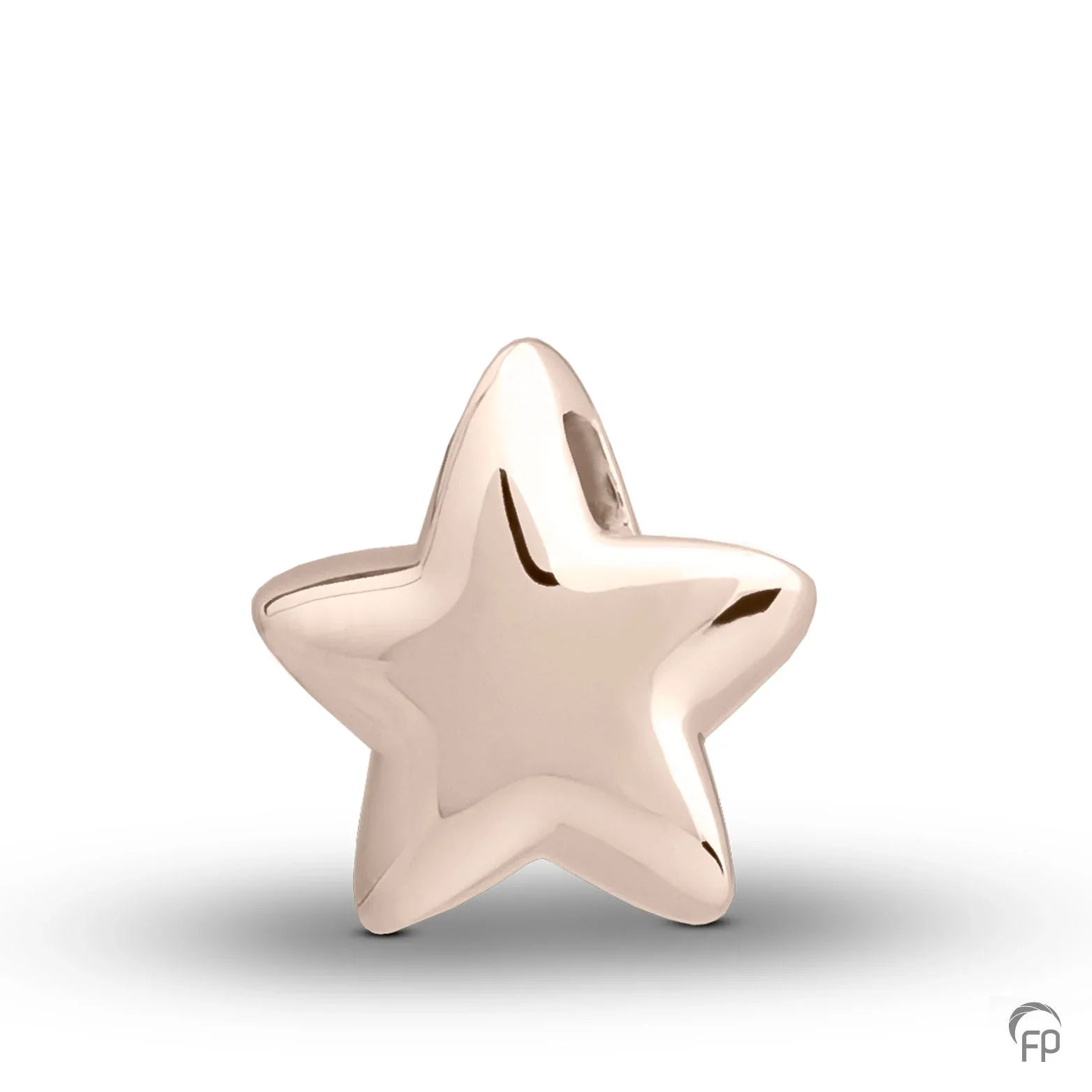 Hanger in stervorm,de ashangers uit deze collectie gedenksieraden zijn eenvoudig zelf te vullen en te bestellen in zilver, geelgoud en witgoud