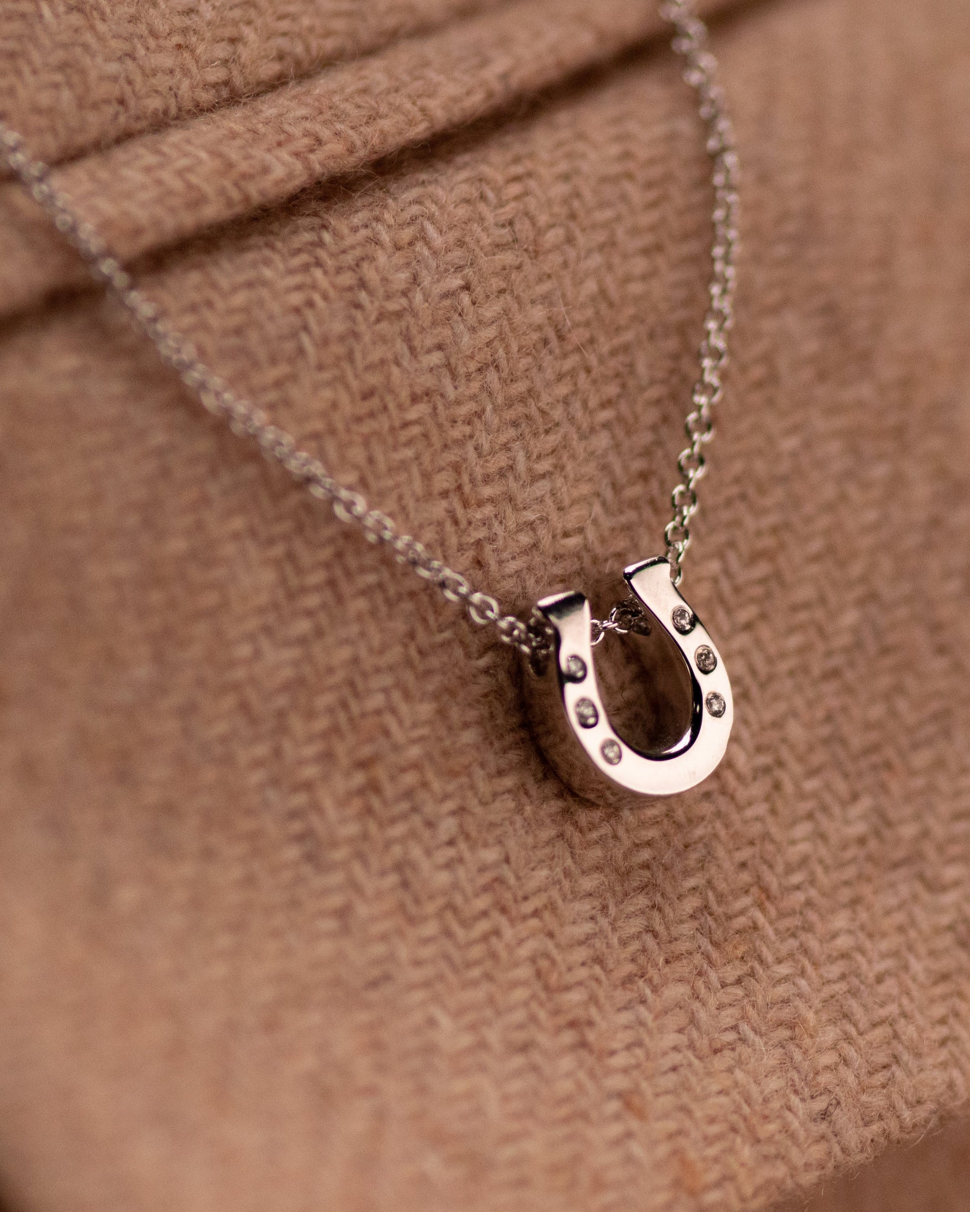 Ashanger hoefijzer, gedenksieraad, waar as en haar in verwerkt wordt.alle