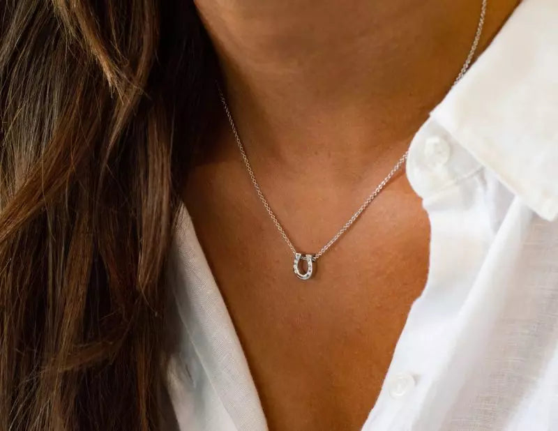 Ashanger hoefijzer, gedenksieraad, waar as en haar in verwerkt wordt.alle