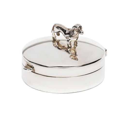 Zilveren mini urn dier collectie gedenksieraden