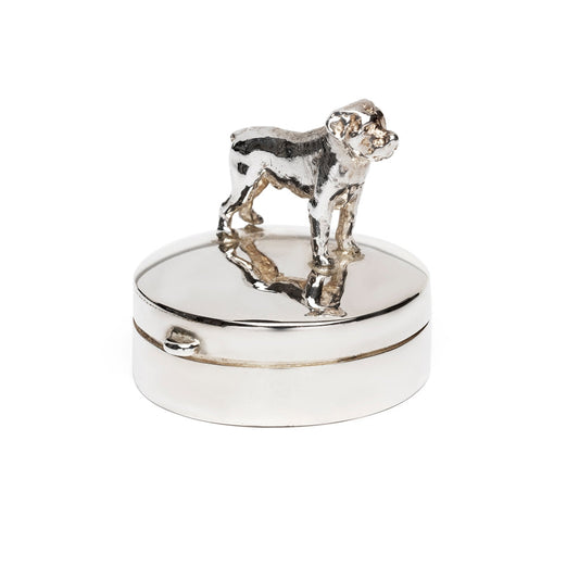 Zilveren mini urn dier collectie gedenksieraden