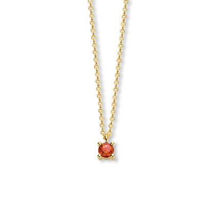 Exclusief 14 KT geelgouden anker collier met geboortesteen 3.5 mm met chatonzetting