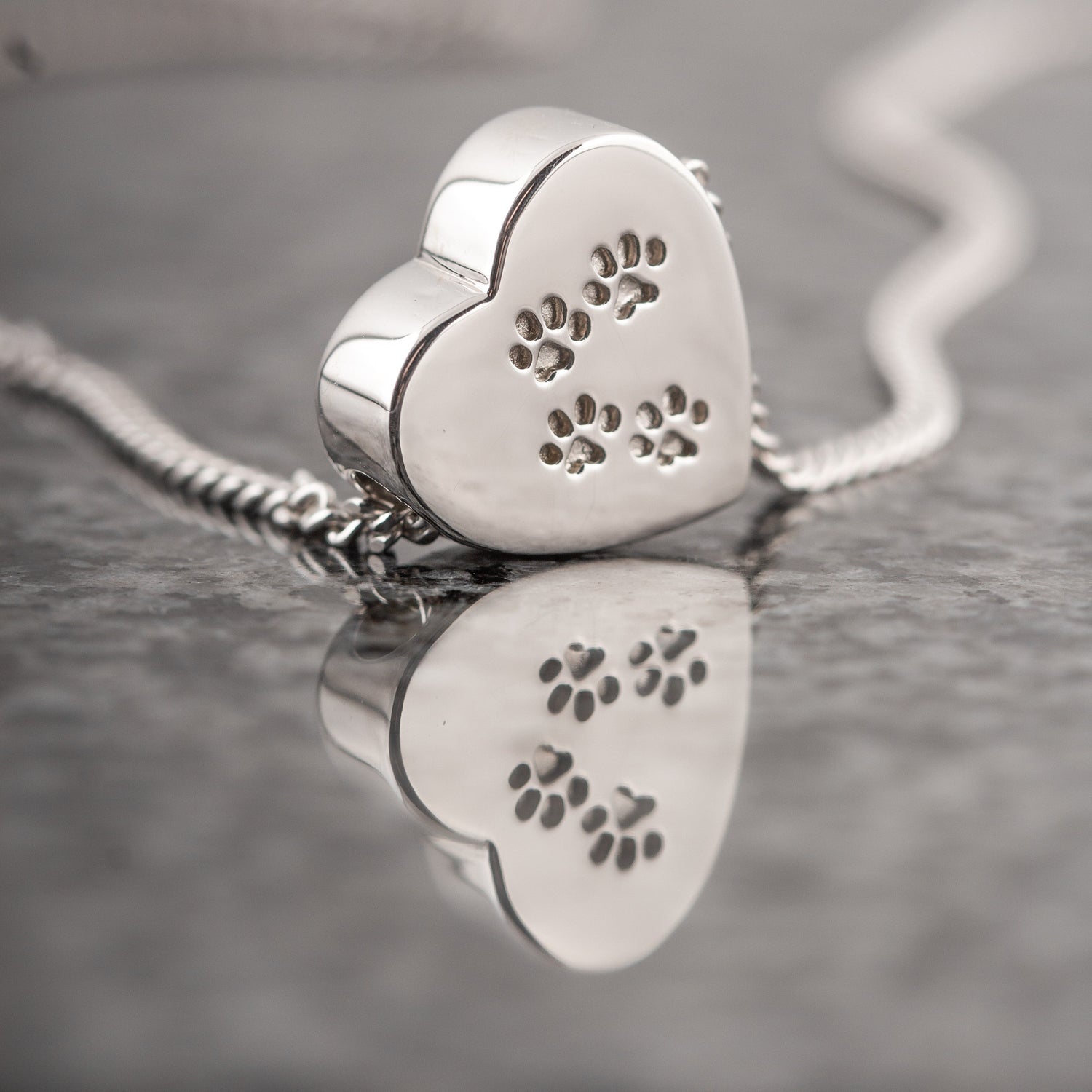 Dieren ashanger, om as of haar van je huisdier mee te vullen. Gedenksieraad voor huisdier, hond herinneringssieraad om bij je te dragen.alle