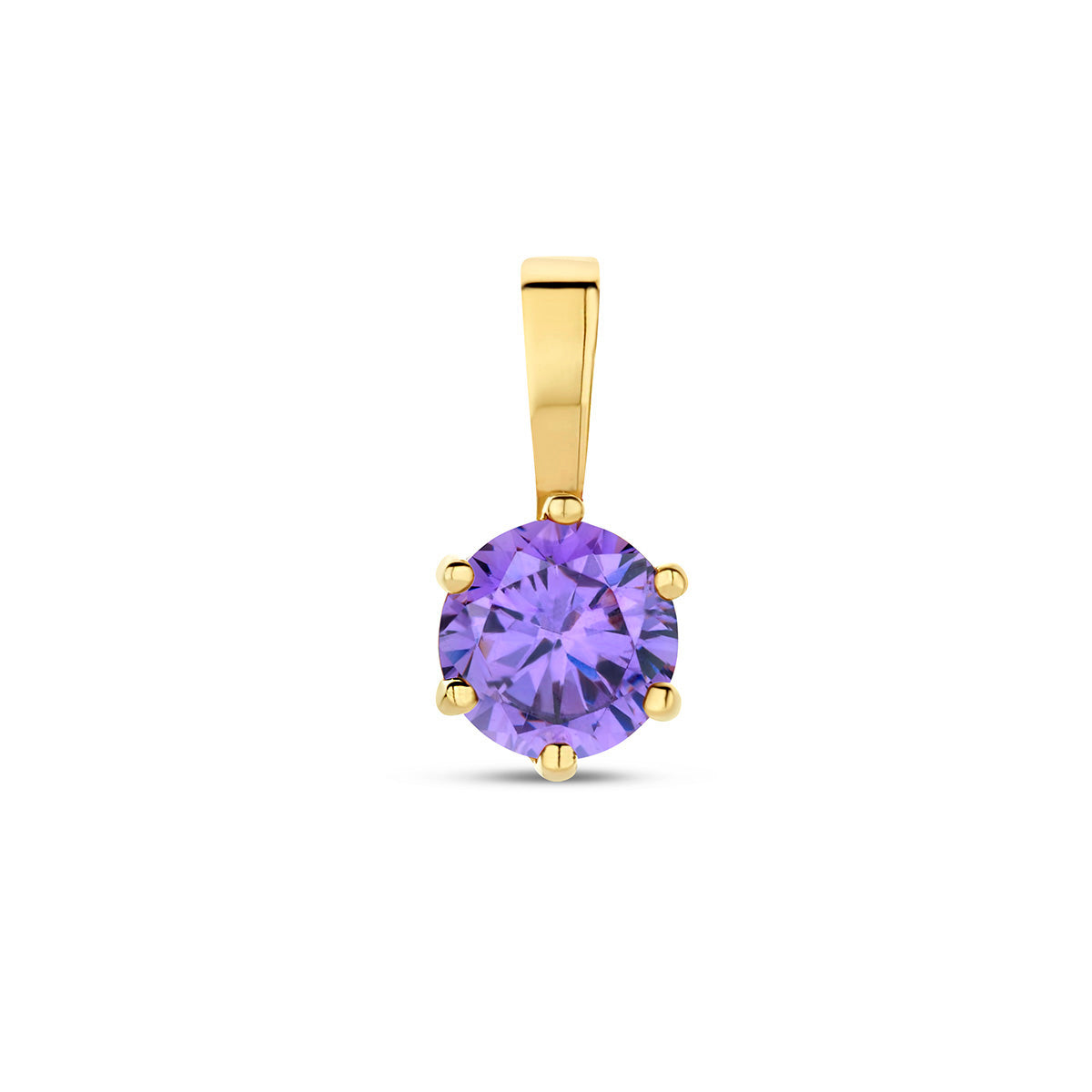 Exclusieve 14 KT geelgouden hanger met geboortesteen februari uit onze collectie geboortesieraden.