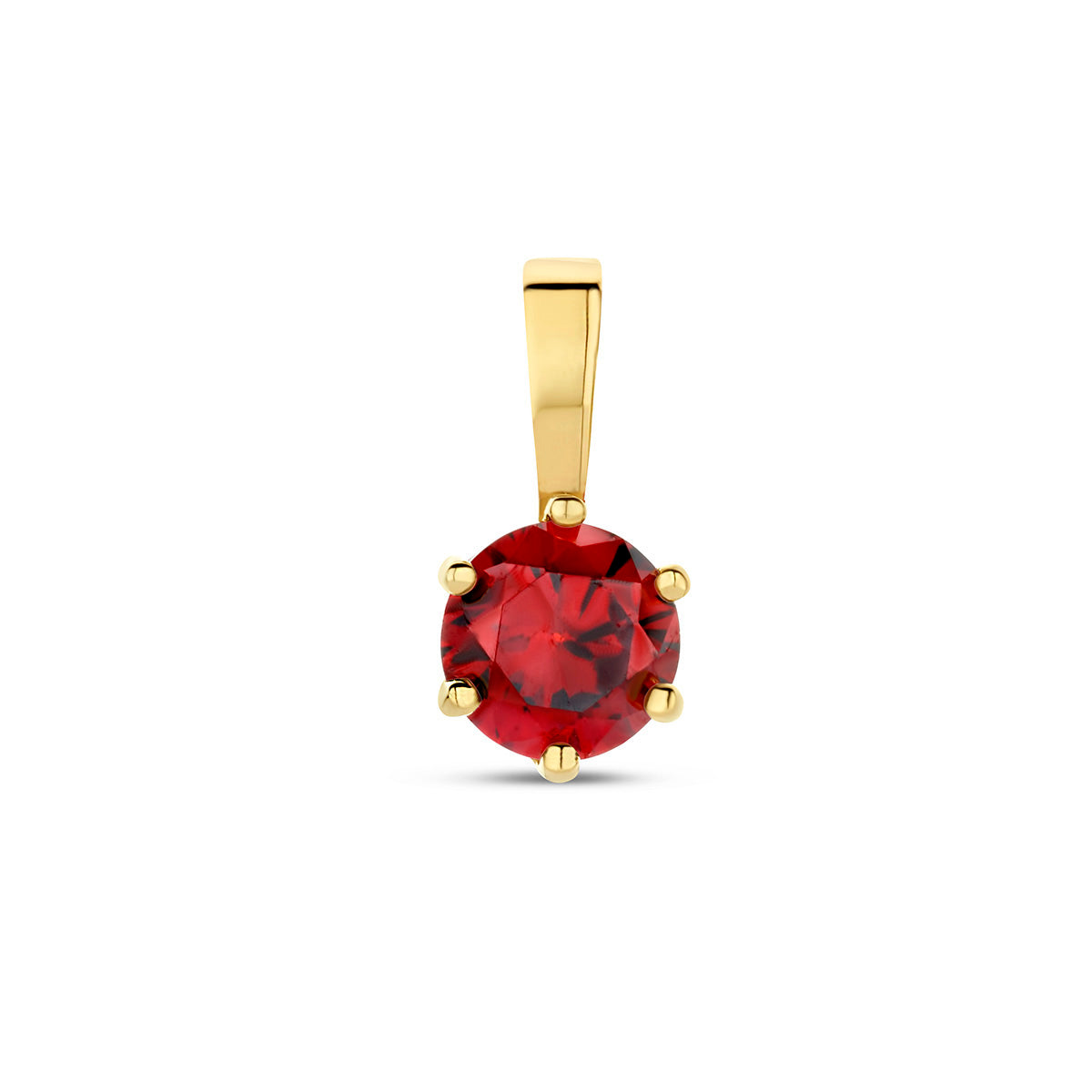 Exclusieve 14 KT geelgouden hanger met geboortesteen januari uit onze collectie geboortesieraden.