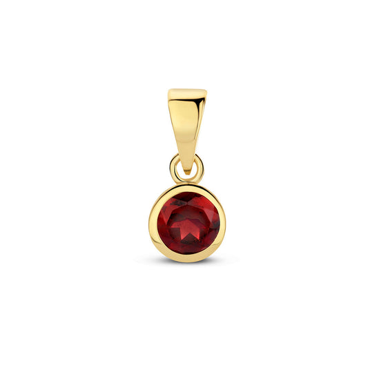 Exclusieve 14 KT geelgouden hanger met geboortesteen januari uit onze collectie geboortesieraden.