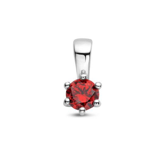 Exclusieve zilveren 925 sterling hanger met zirkonia geboortesteen januari uit onze collectie geboortesieraden.